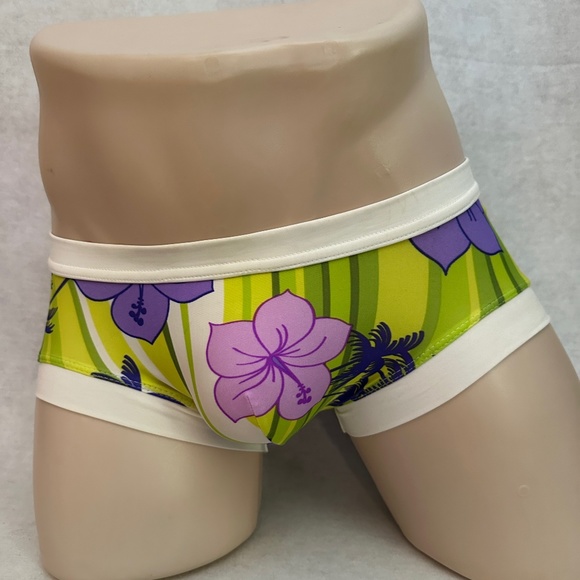 N2N Bodywear Square Cut Pouch Swim Briefs Small RARE sold out style Gently worn - Picture 4 of 5